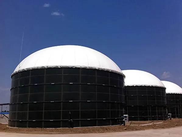 Biogas Holder