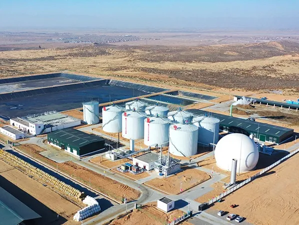 Biogas Holder Factory
