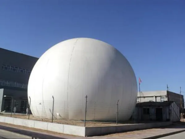 biogas reactor supplier 