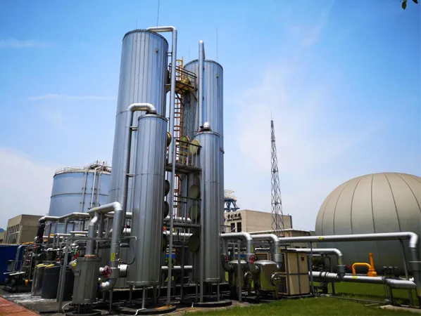 Why Sulphur Removal is Critical for Efficient Biogas Operations?